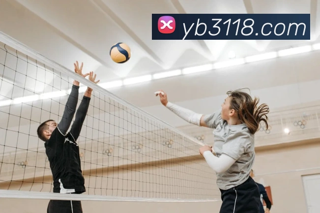 yb亚博APP 封面图